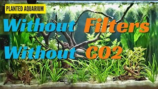 How to keep CRYSTAL CLEAR WATER in aquarium without FILTER OR CO2  Fish Tank mantenance [upl. by Airdnua]