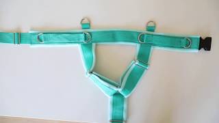 DIY Fleece Dog Harness [upl. by Enilecram]