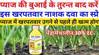 प्याज में Pendimethalin 30 ec का स्प्रे  खरपतवार उगने से पहले ही खत्म  Pyaj Ki Kheti [upl. by Drof]