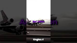 Animation vs Real Footage  FedEx flight 80 shorts planecrash [upl. by Irme489]