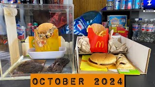 4 Year Old McDonald’s Food  McDonald’s Jewel Box Update October 2024 [upl. by Ahselrak]