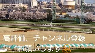 中山競馬場 特別指定席 ゴンドラ階 [upl. by Petronia]