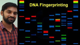 DNA Fingerprinting  Molecular basis of inheritance  Senthilnathan [upl. by Ntsyrk362]