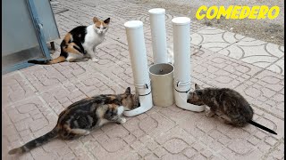 Comedero Casero para Gatos callejeros [upl. by Thurlough]