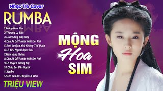 MỘNG HOA SIM  HỒNG TRẦN TÌNH CA  LK Nhạc Trẻ Rumba 8x 9x Hót TikTok  ALBUM RUMBA XUẤT SẮC NHẤT [upl. by Ahseki284]