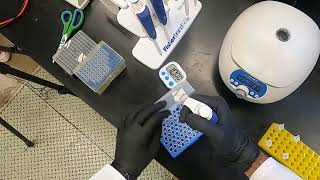 DNA Extraction [upl. by Eseerahs]