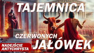 Co zwiastują Czerwone Jałówki Tajemnica Czerwonych Jałówek i nadejścia Antychrysta [upl. by Ahsimin]