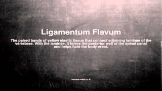 Medical vocabulary What does Ligamentum Flavum mean [upl. by Sev426]