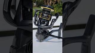 Best Spinning Reel Under 100 [upl. by Hollyanne718]