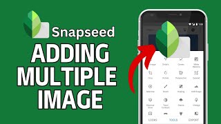 How to Add Multiple Images in Snapseed 2024 [upl. by Ojillek253]