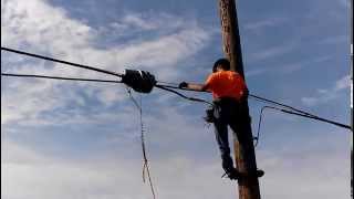 Lineman on job training [upl. by Kcirrem]