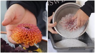 Drying Flowers with Silica GelCrystals  A Fun Way to Display Them 💗🥰🌼  Garden Answer [upl. by Spears645]