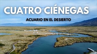 Cuatro Ciénegas Un lugar único en el mundo Patrimonio natural de México [upl. by Meryl]