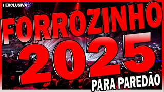 PASSARO NOTURNO versão FORROZINHO PARA PAREDÃO 2025 Remix exclusivo 👉DJ NEM DE ICOARACI [upl. by Fini]