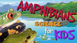 Amphibians  Science for Kids [upl. by Ela]