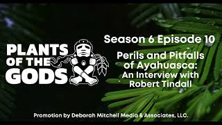 Plants of the Gods S6E10  Perils and Pitfalls of Ayahuasca An Interview with Robert Tindall [upl. by Erde126]