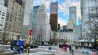 NYC LIVE  Midtown Manhattan amp Post Snowfall Walk In Central Park  13 February 2024 [upl. by Nashoma537]