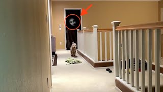 GHOST ACTIVITY CAUGHT ON CAMERA [upl. by Atirehgram246]