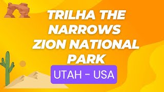 Trilha  The Narrows  Zion National Park [upl. by Aisereht]