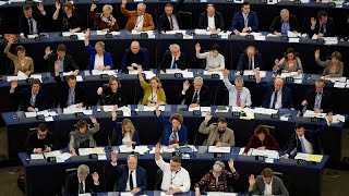 Il Parlamento europeo dichiara lemergenza ambientale [upl. by Asilana]