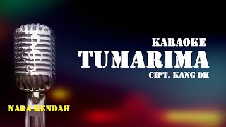 TUMARIMA KARAOKE IINK KURNIA NADA RENDAH [upl. by Romola735]