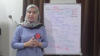 CHO METABOLISM Biochemistry Session 14Gluconeogenesis part1 [upl. by Eniarol]