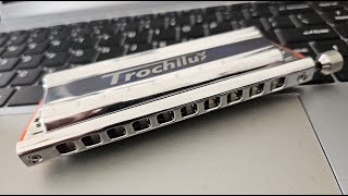 My Funny Valentine  Trochilus Harmonica [upl. by Ahsiekim]