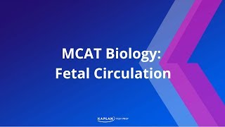 MCAT Biology Fetal Circulation [upl. by Eirrol]