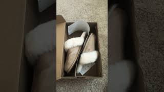 new uggs scufettes in sand ugg uggs slippers winter [upl. by Nyre]