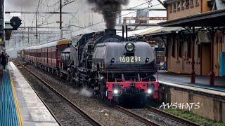 6029 Garratt Steam Locomotive leads HUGE consist with 4501 4201 amp 4916 Enroute to Bathurst NSW [upl. by Annaeed466]