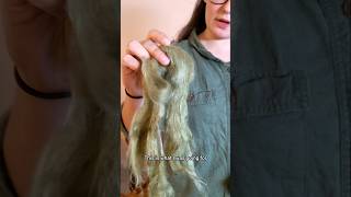 Day 51 of spinning yarn to knit a shirt The Dyed Fiber [upl. by Tannen]