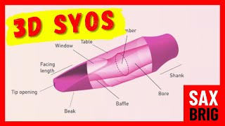 Ich teste 6x SYOS Mundstücke 3D Syos Saxophon Mundstücke Selbsttest  DailySax 235 [upl. by Nywled]