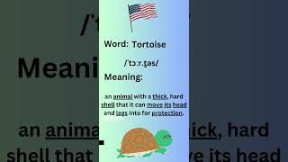 How to Pronounce Tortoise in American Accent learning learnenglish [upl. by Anirahc51]