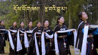 Dolpo Song  Tsawai Lama  Culture Dance  nepal himalayas dolpo culture urbgd entertainment [upl. by Dnomsad]