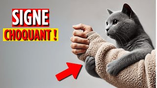 6 choses que les chats ADORENT le plus chez leurs propriétaires — la numéro 5 va vous surprendre [upl. by Hanway128]