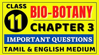 11th Bio Botany Chapter 3 important Questions  11th Biology important Questions 2022  Kalvi Tube [upl. by Nitsuga2]