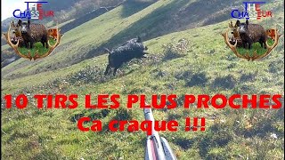 10 TIRS LES PLUS PROCHES Sangliers et Chevreuils  En 8 ans de chasse [upl. by Atlee432]