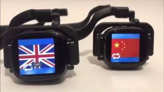 How to use Translate One2One translator earpieces [upl. by Leggat]