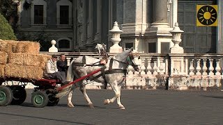 SIZILIEN  Teil 2 quotGlanzlichter von Syrakus Catania und den Ätna entdeckenquot SICILY  SICILIA [upl. by Lalo145]