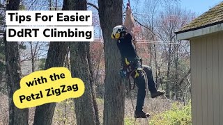 DdRT with Petzl ZigZag  Foot Ascender  Arborist Tree Climbing Techniques [upl. by Nataline759]