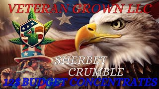 Trying Veteran Grown LLC Sherbet Crumble Thca Concentrate Review [upl. by Sardse210]