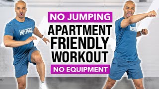 NO NOISE Low Impact FULL BODY Apartment Friendly Small Space Workout No Jumping No Equipment [upl. by Castera]