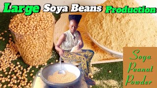 HOW TO MAKE SOYA BEANS POWDER  SOYAPEANUT POWDER [upl. by Eednas]