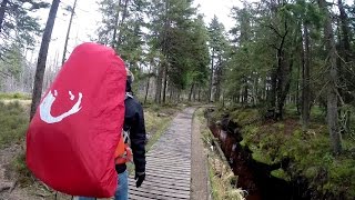 Wandern im Harz Harzer Hexenstieg  Von Osterode nach Thale [upl. by Annaig]