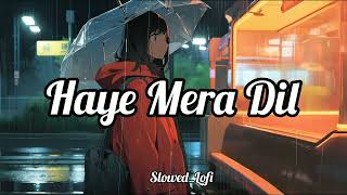 Haye Mera Dil Slowed  Reverb  Alfaaz Honey Singh [upl. by Duky]