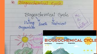 Biogeochemical Cycle Geography [upl. by Tadashi475]