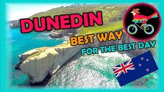 DUNEDIN New Zealand Travel Guide Free SelfGuided Tours Highlights Attractions Events [upl. by Josefa620]