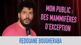 REDOUANE BOUGHERABA  MON PUBLIC  DES MAMMIFÈRES DEXCEPTION [upl. by Tarttan]