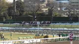 2013 AJCC The America Jockey Club Cup ダノンバラード Danon Ballad [upl. by Nuhsyar]