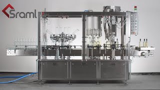 Fully Automatic Bottling Line I SRAML Wine Filling Monoblock I9P10VX [upl. by Ibob]